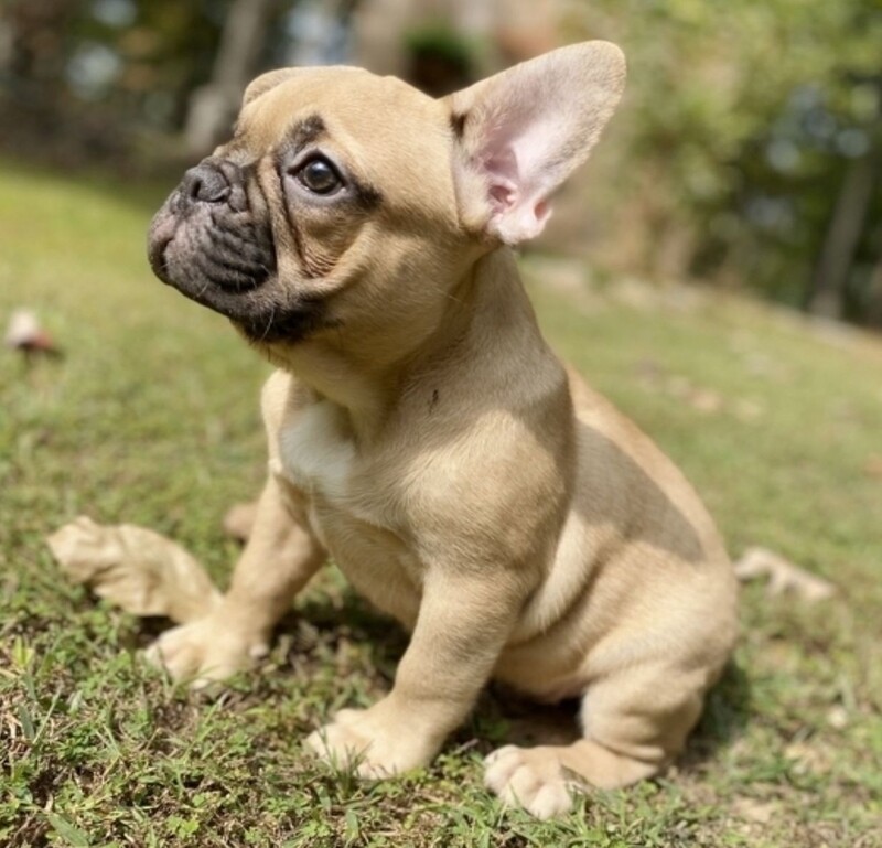 Luna