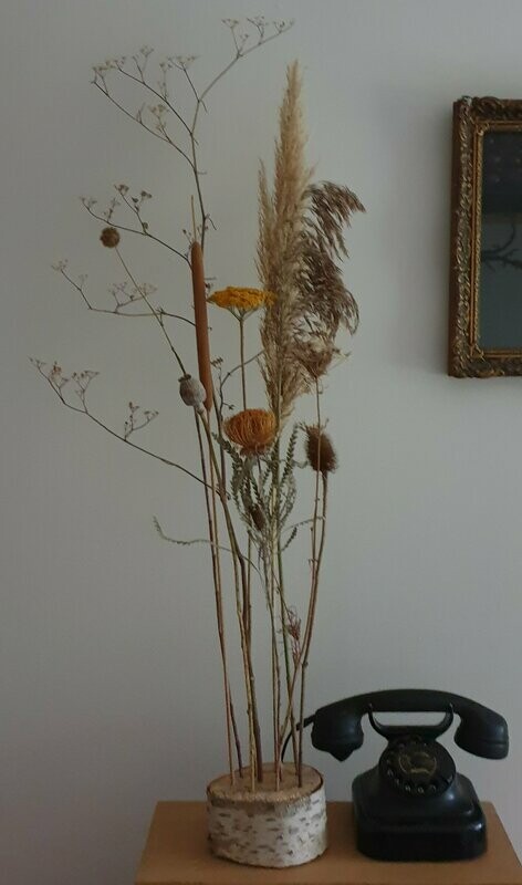 Droogbloemen op stam
