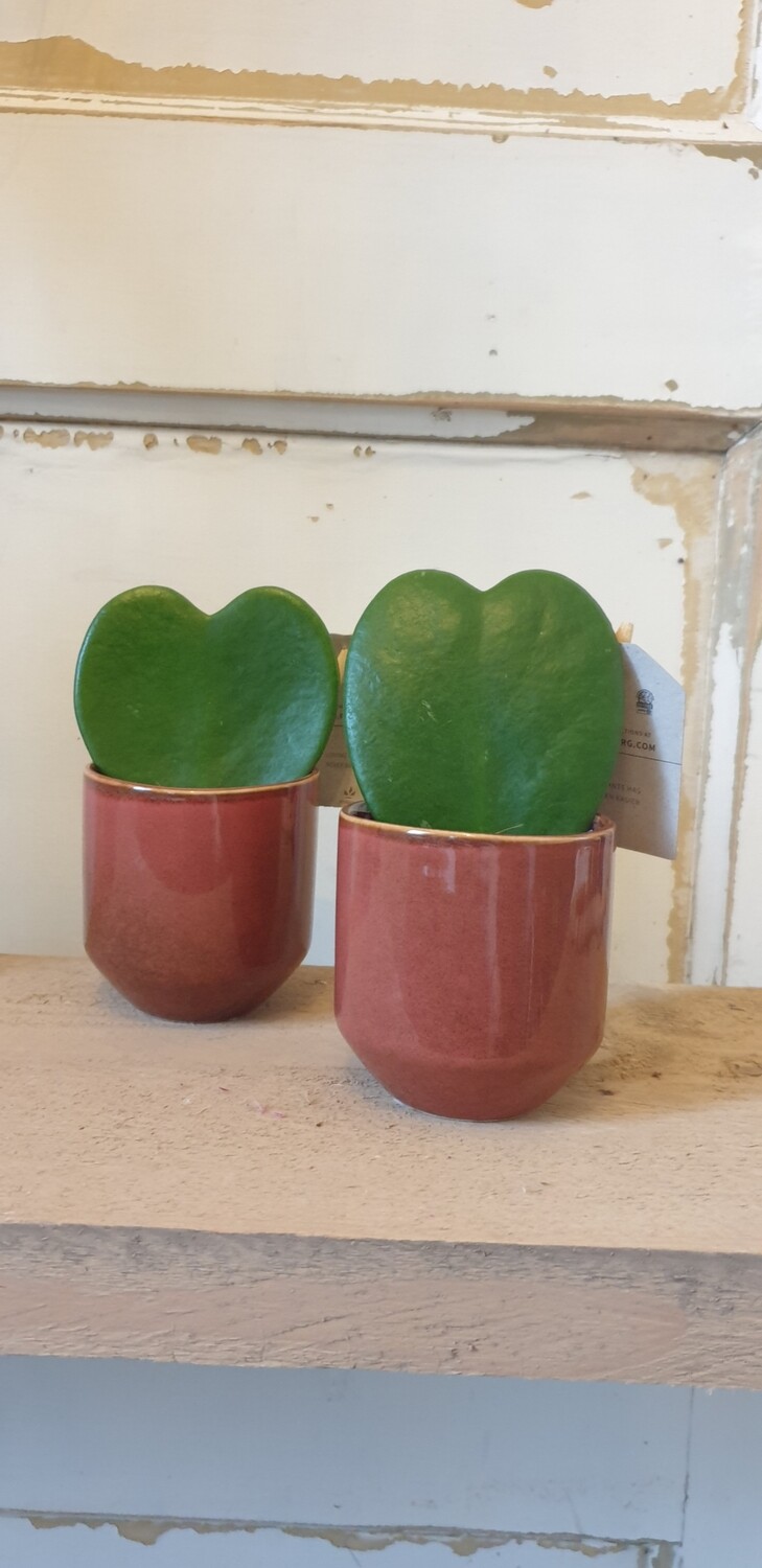 Potje rood/bruin