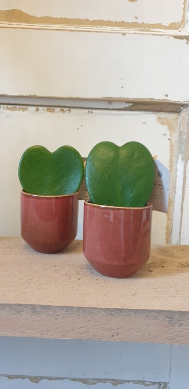Potje rood/bruin
