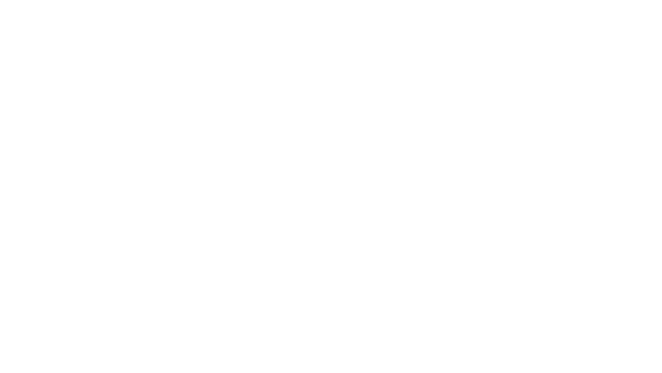 The luxury wears