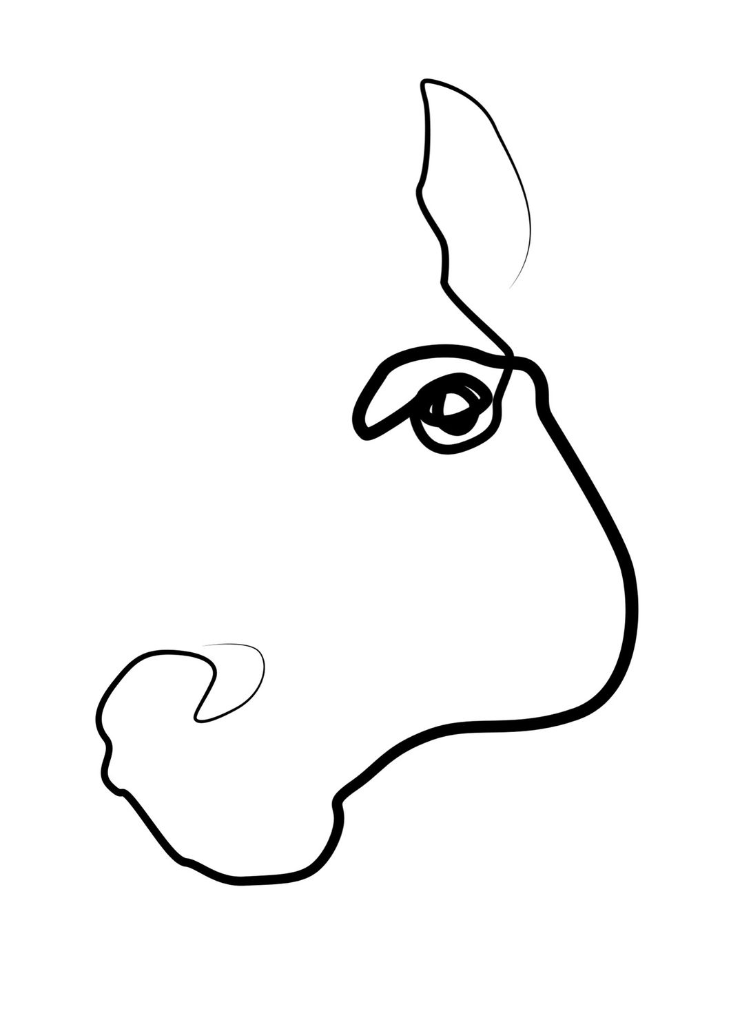 183/365 183/365