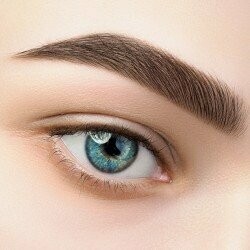 Teinture sourcils