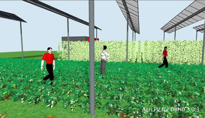 Agri-PV by DBHD / Photo-Voltaik UND Agrar-Land Nutzung >>> funktioniert, aber ungeprüft