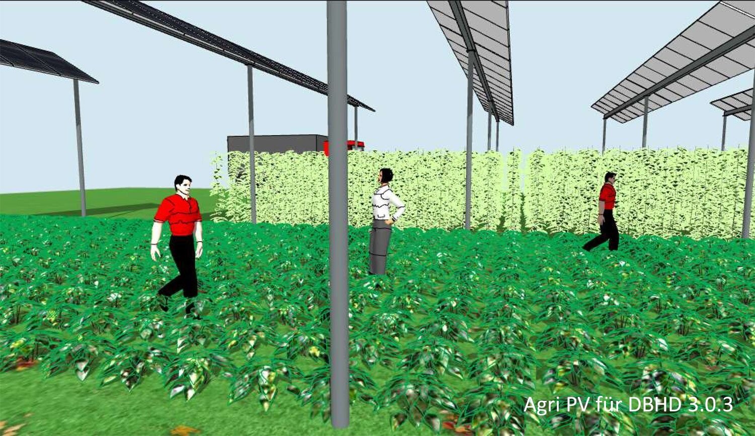 Agri-PV by DBHD / Photo-Voltaik UND Agrar-Land Nutzung >>> funktioniert, aber ungeprüft