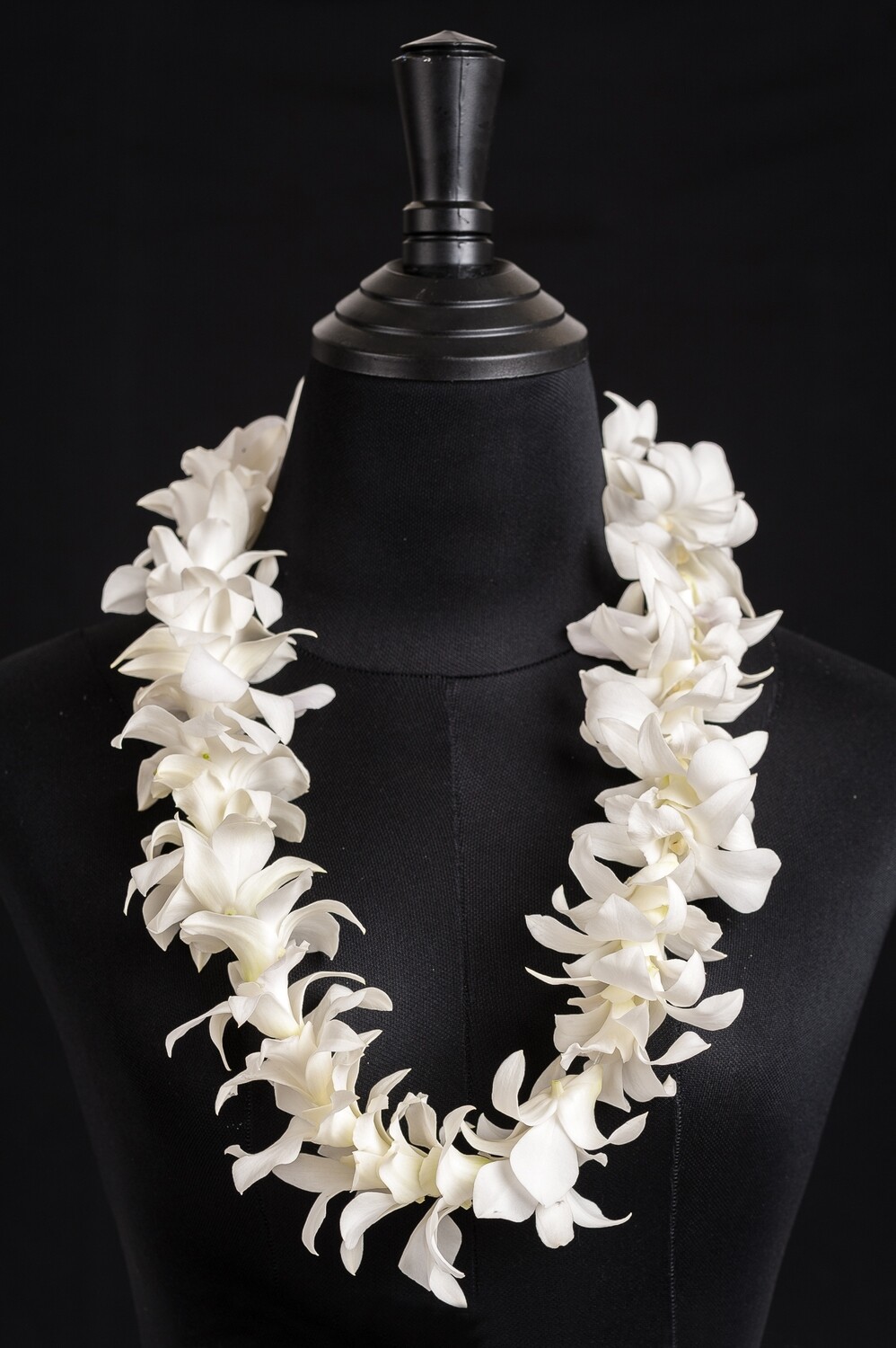 SINGLE WHITE LEI