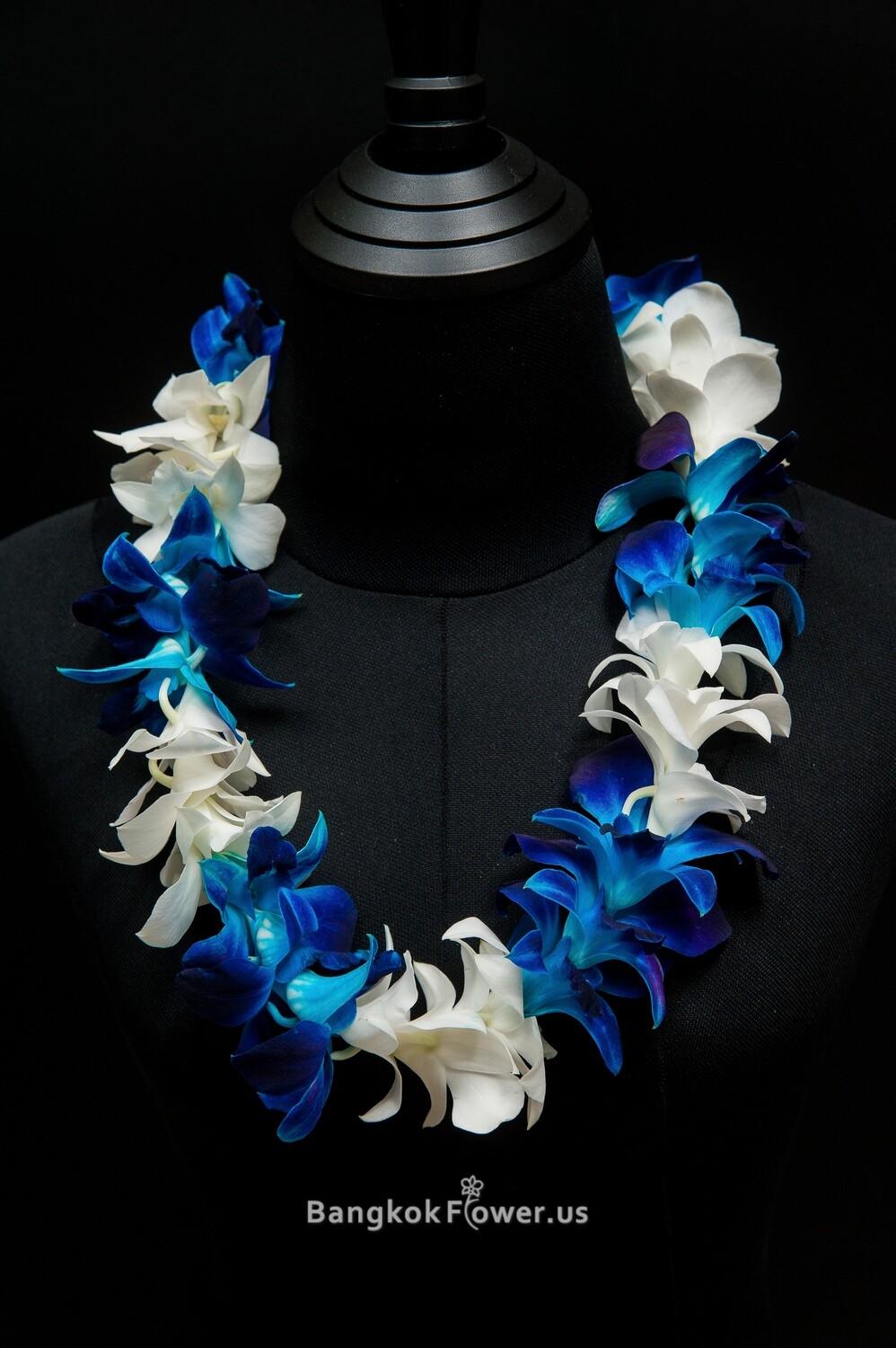 SINGLE SONIA TINTED BLUE &amp; WH