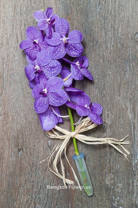 VD-PURPLE