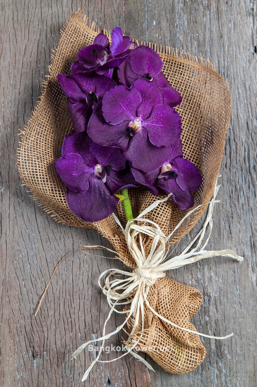 VD-DARK PURPLE