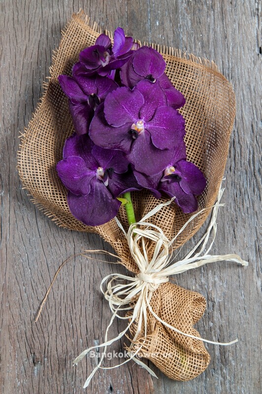 VD-DARK PURPLE