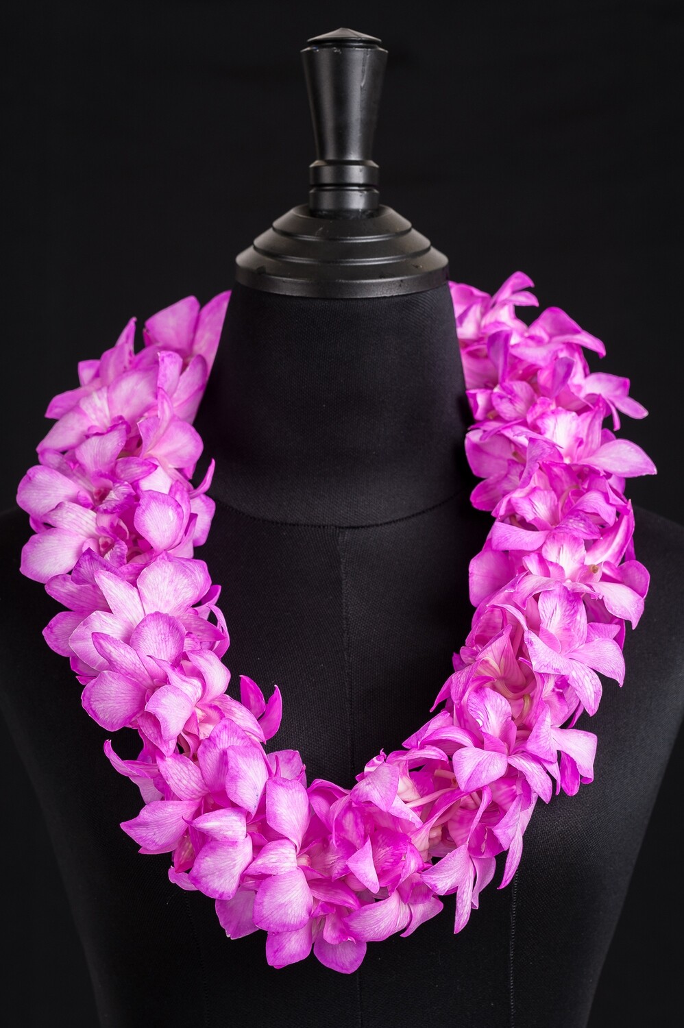 DOUBLE WHITE TINTED PINK