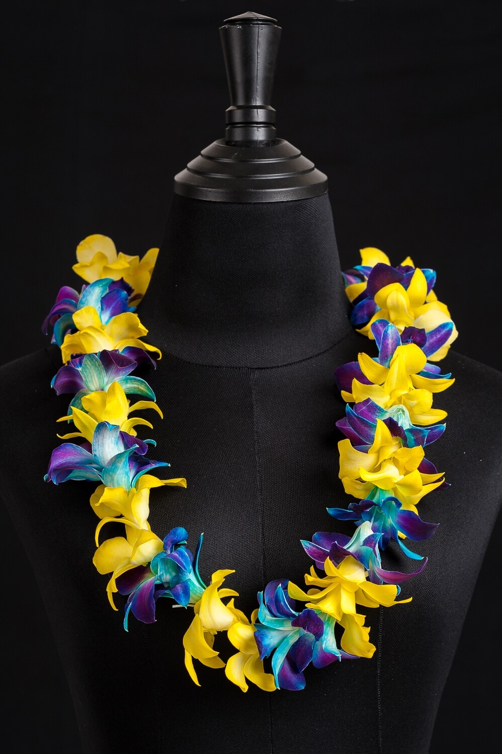 SINGLE SONIA TINTED BLUE &amp; WHITE TINTED YELLOW