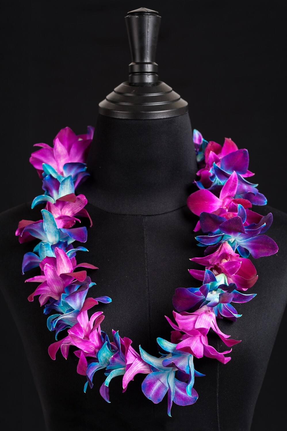 SINGLE SONIA TINTED BLUE &amp; SONIA TINTED PINK