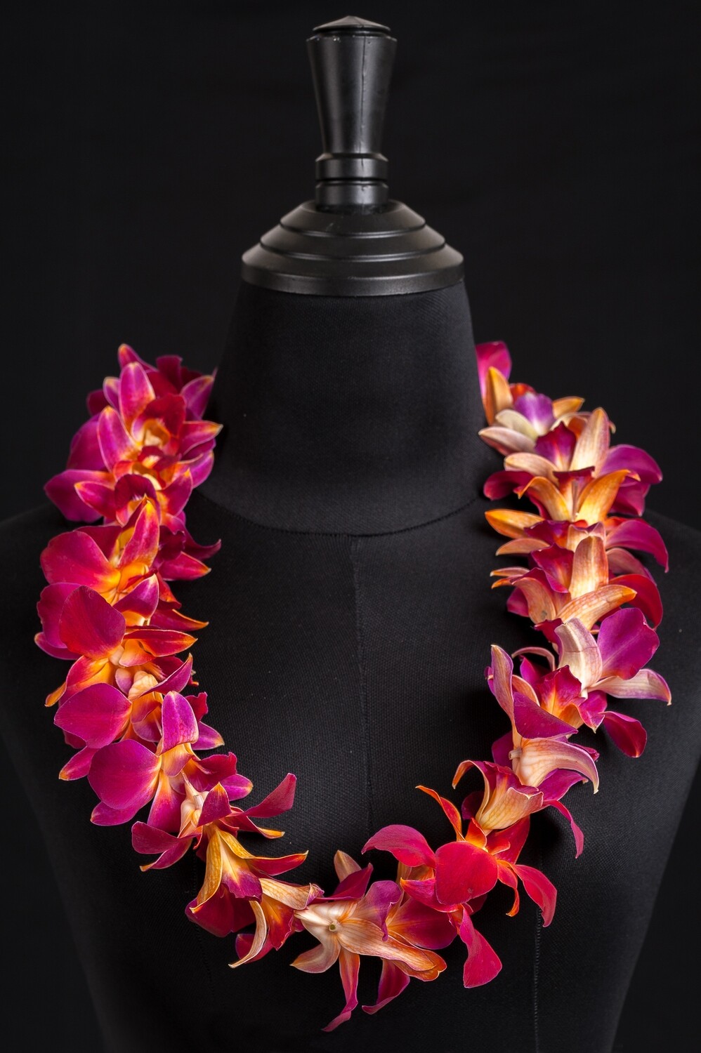 SINGLE SONIA TINTED ORANGE