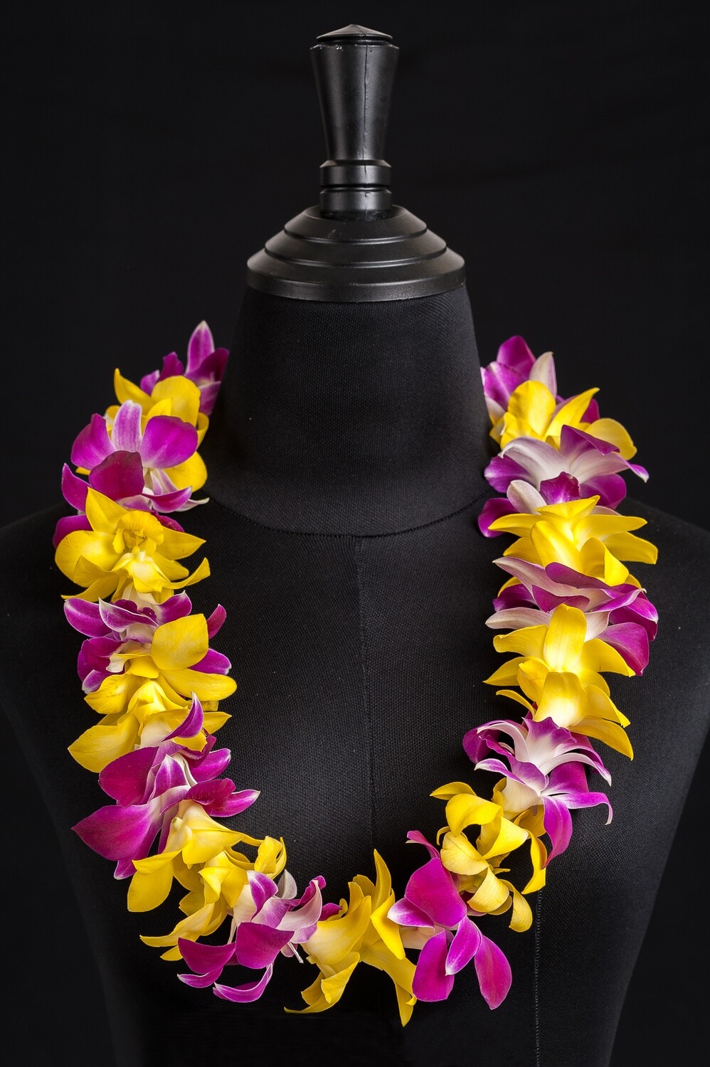 SINGLE SONIA &amp; WHITE TINTED YELLOW