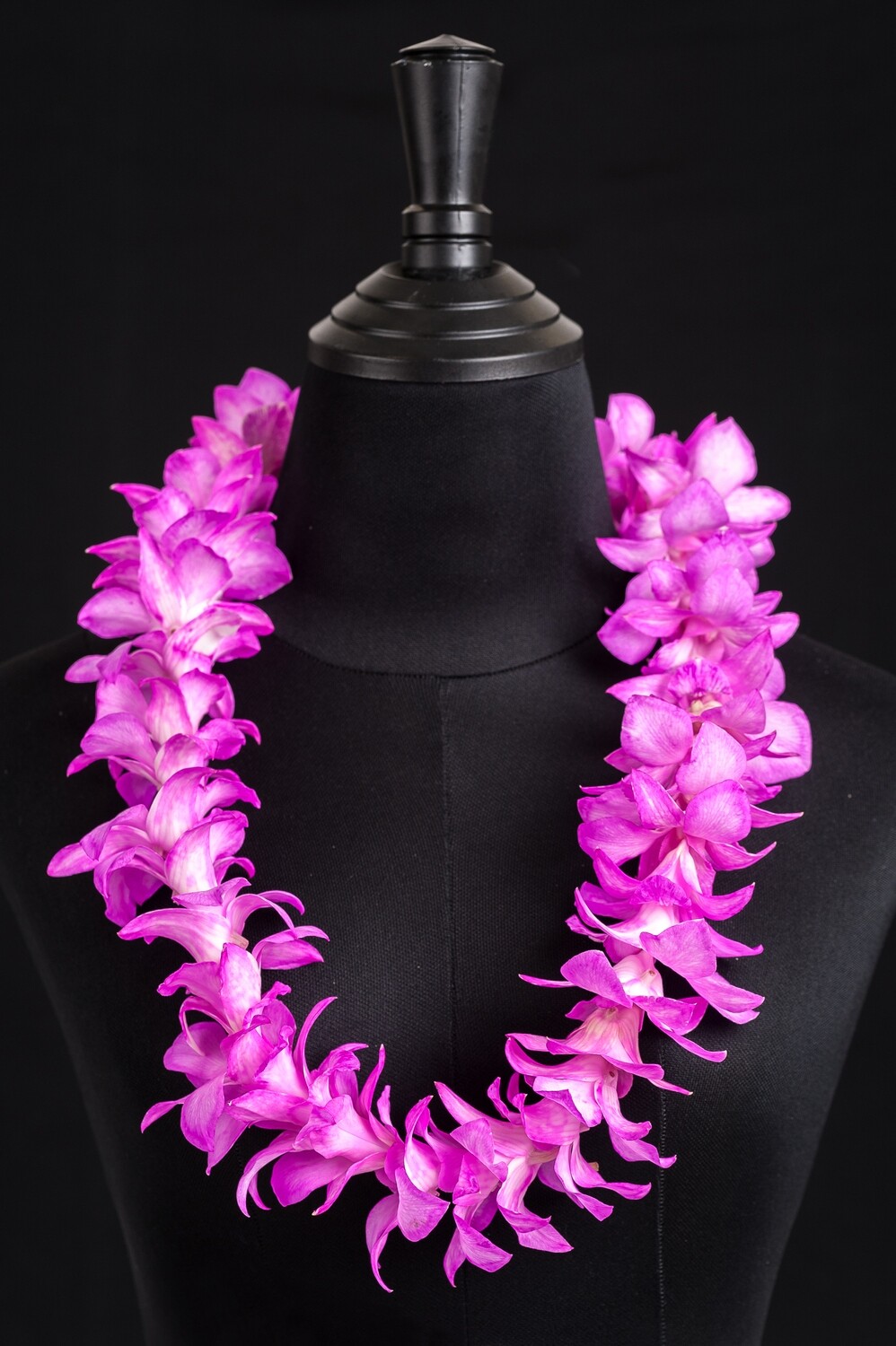 SINGLE WHITE TINTED PINK