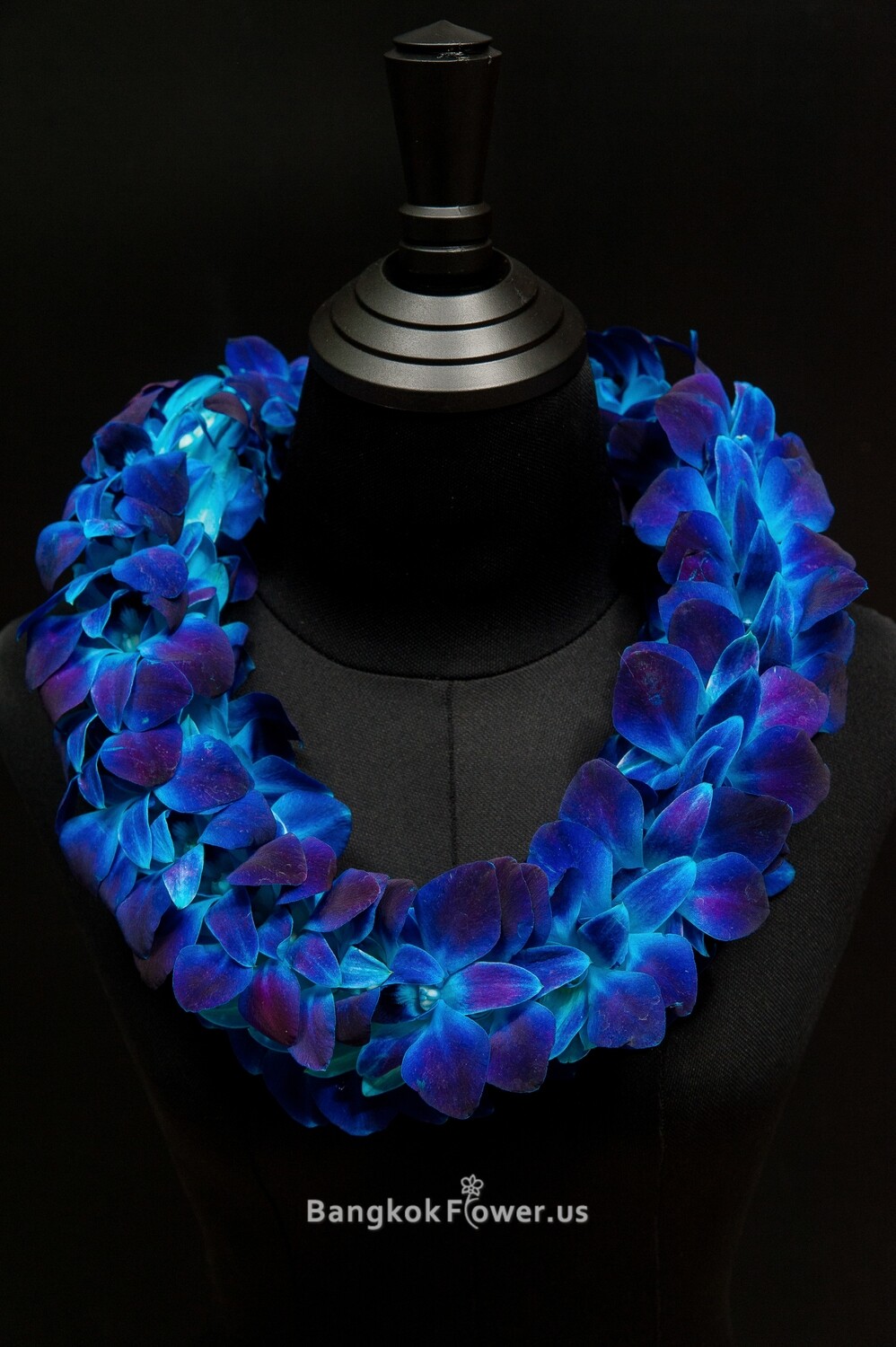 DOUBLE SONIA TINTED BLUE