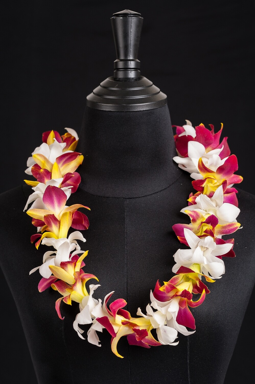 SINGLE SONIA TINTED ORANGE &amp; WHITE