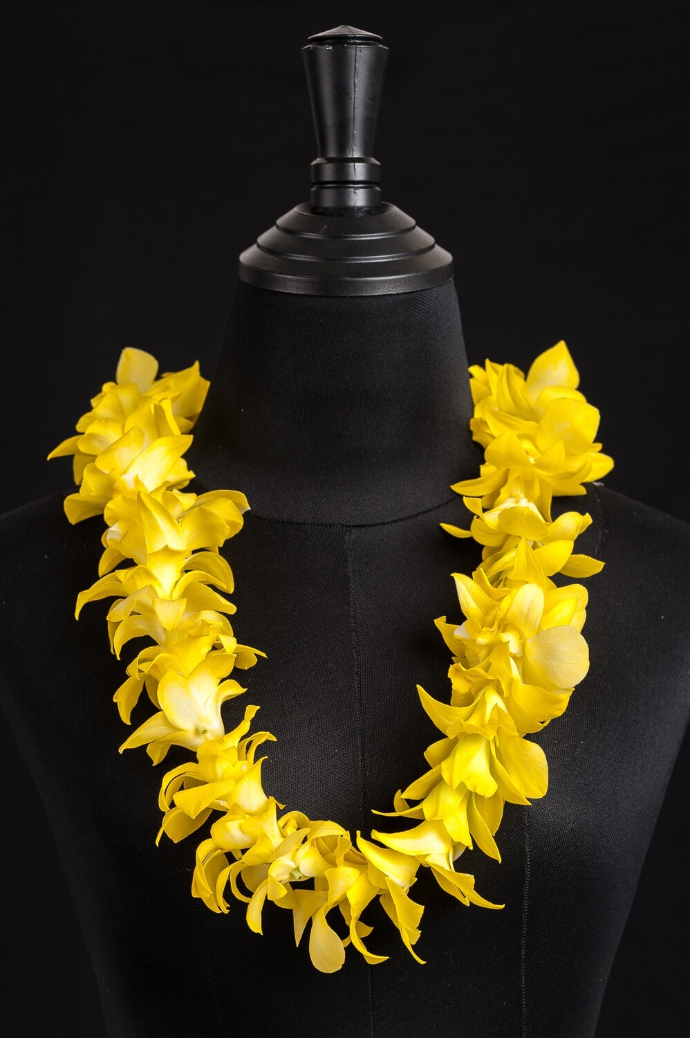 SINGLE WHITE TINTED YELLOW