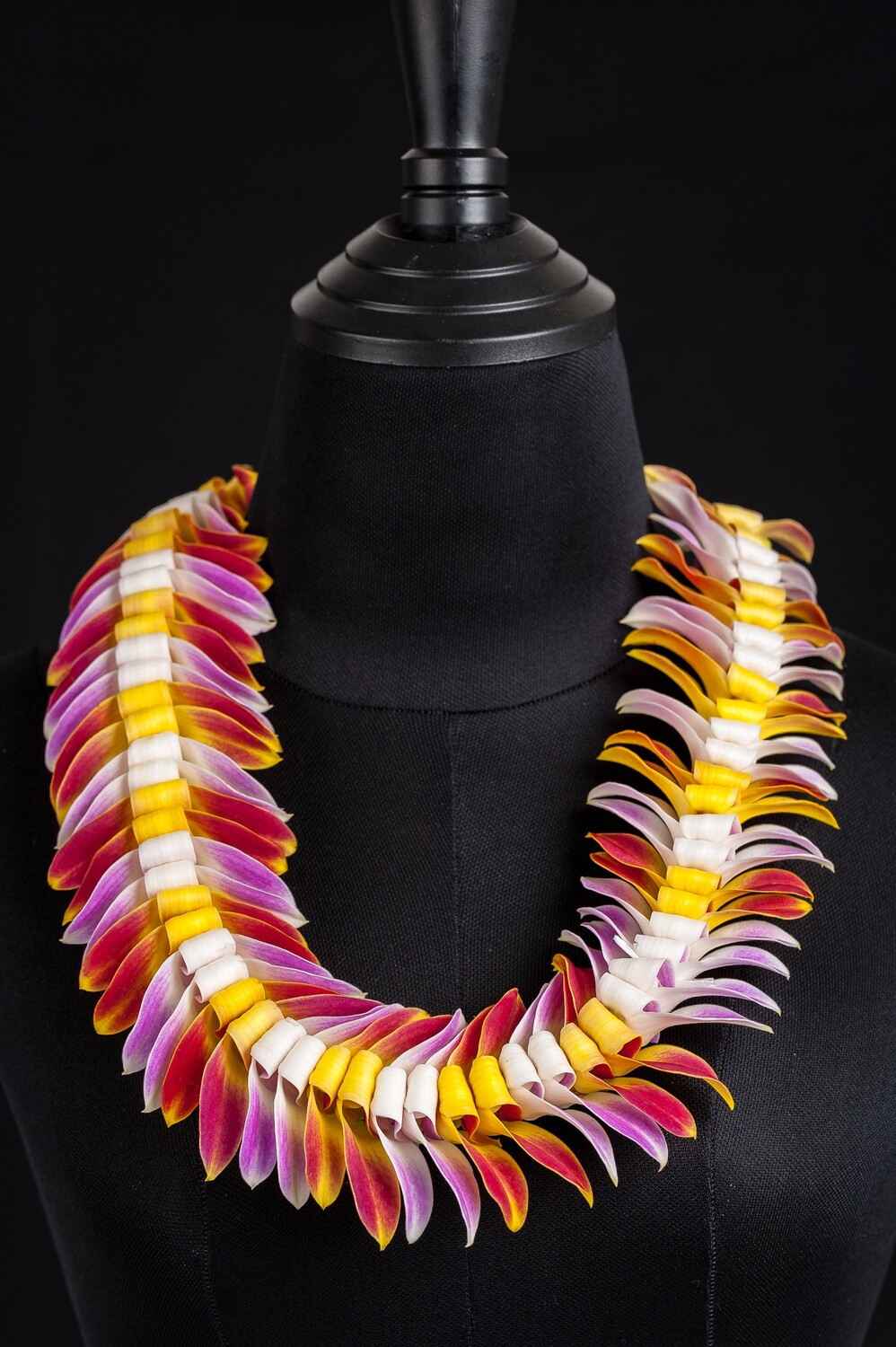 PURPLE&amp;YELLOW BUTTERFRY