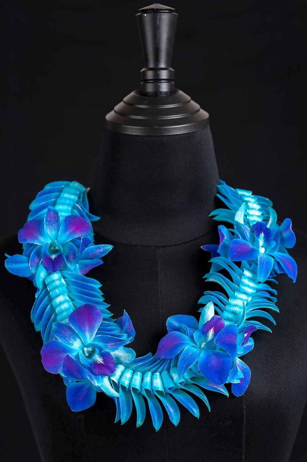 BLUE BUTTERFLY BLOOM