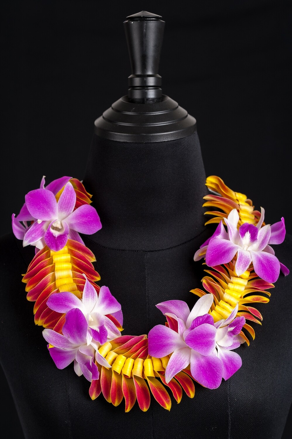 SONIA BUTTERFLY BLOOM