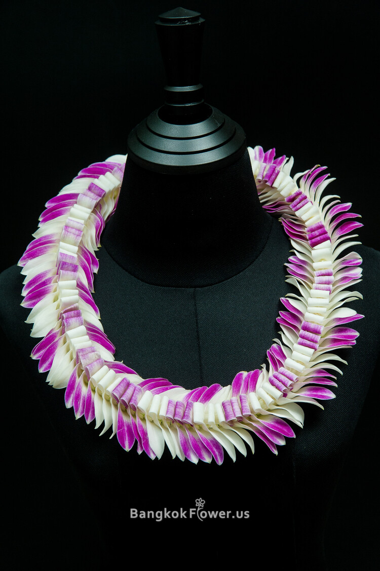 PURPLE&amp;WHITE BUTTERFLY