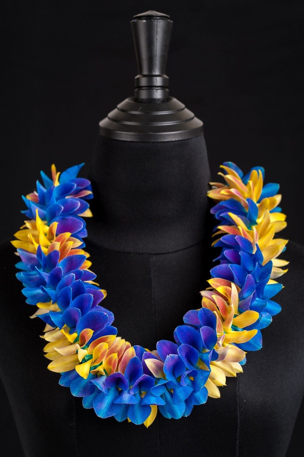 BLUE AND YELLOW ROBIN