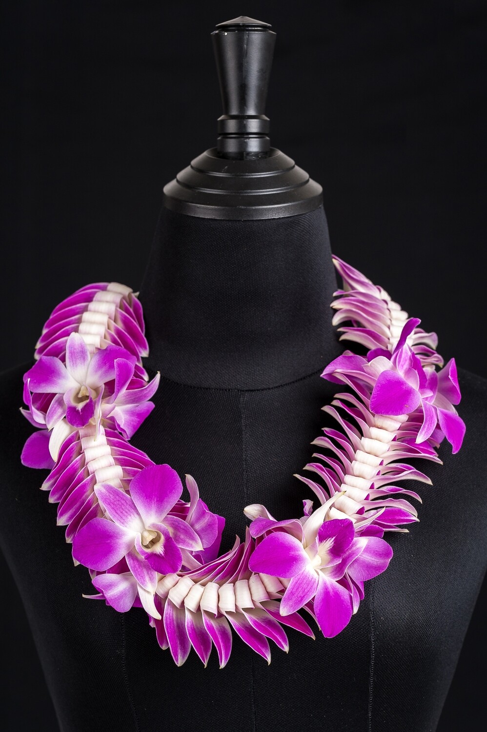 PURPLE BUTTERFLY BLOOM