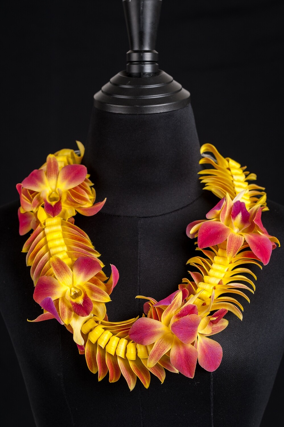 YELLOW BUTTERFLY BLOOM