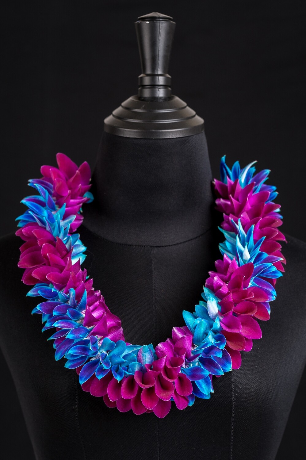 BLUE AND PURPLE ROBIN