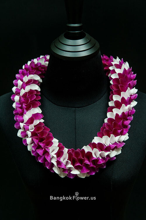 PURPLE AND 2 WHITE ROBIN