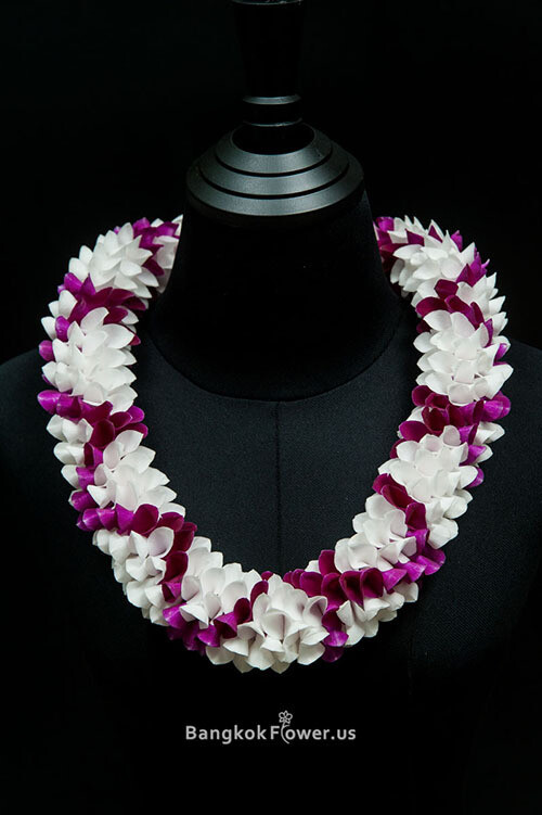 WHITE CROSS PURPLE ROBIN