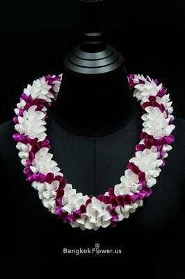 WHITE CROSS PURPLE ROBIN