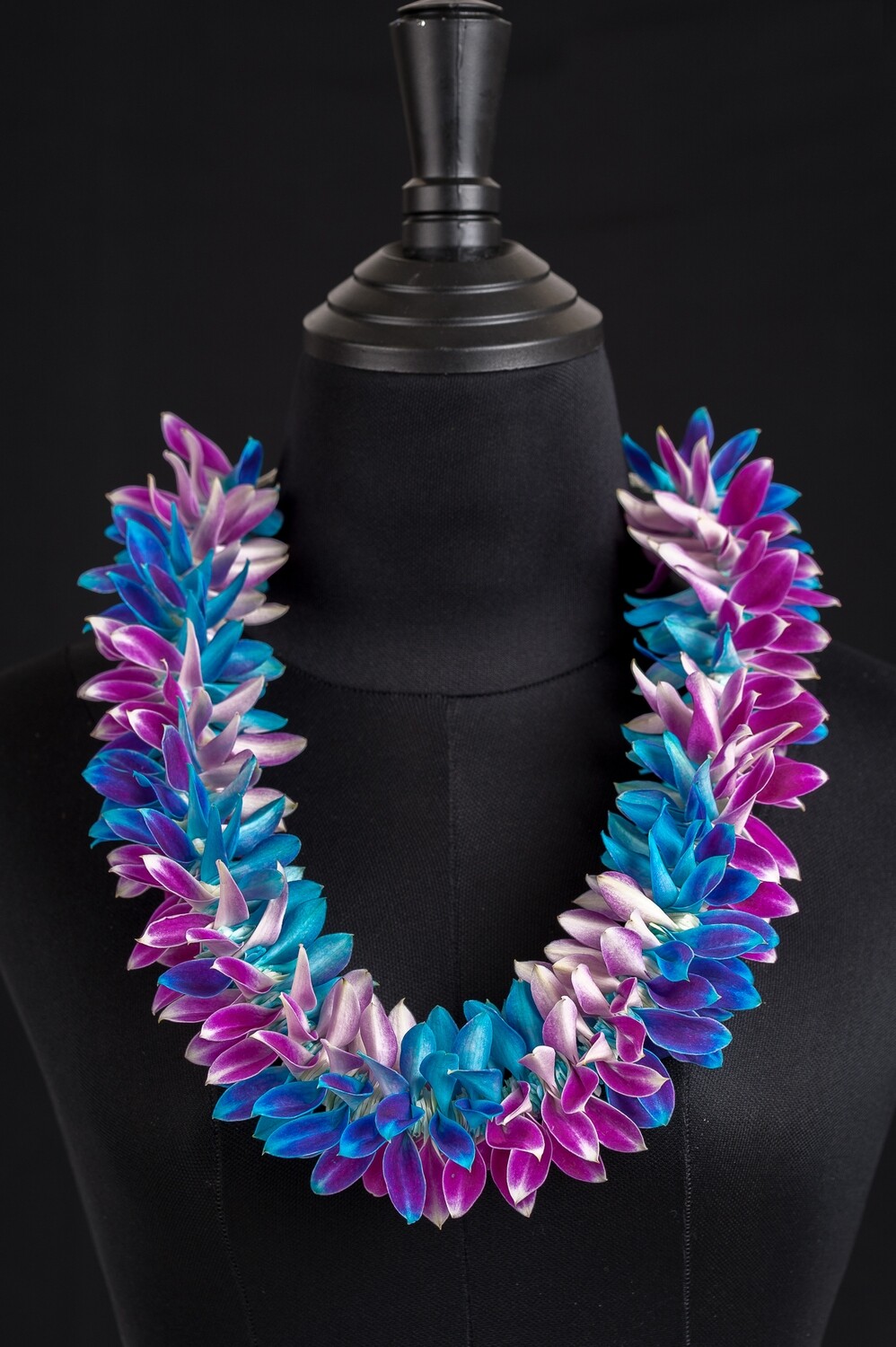 BLUE AND LIGHT PINK ROBIN