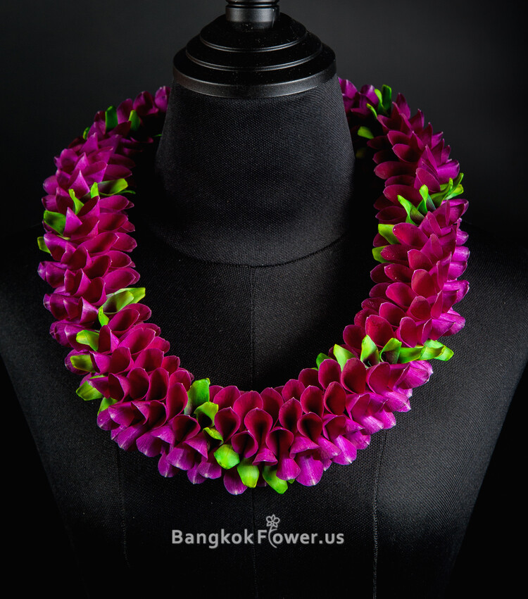 PURPLE AND 1 GREEN ROBIN