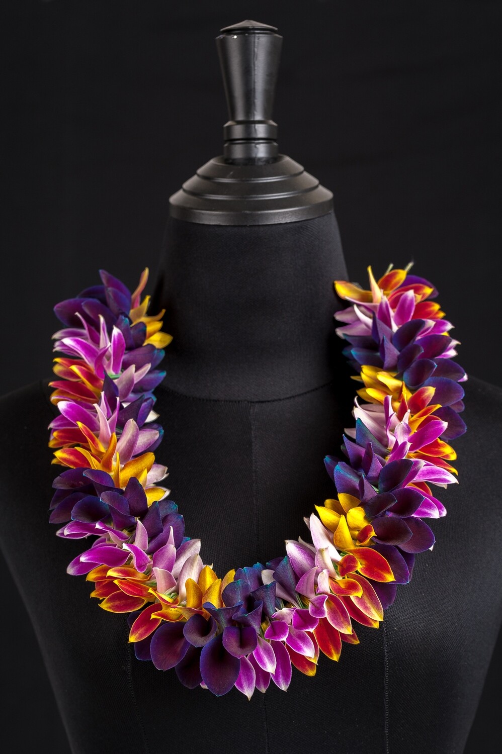 BLUE, ORANGE, PINK ROBIN