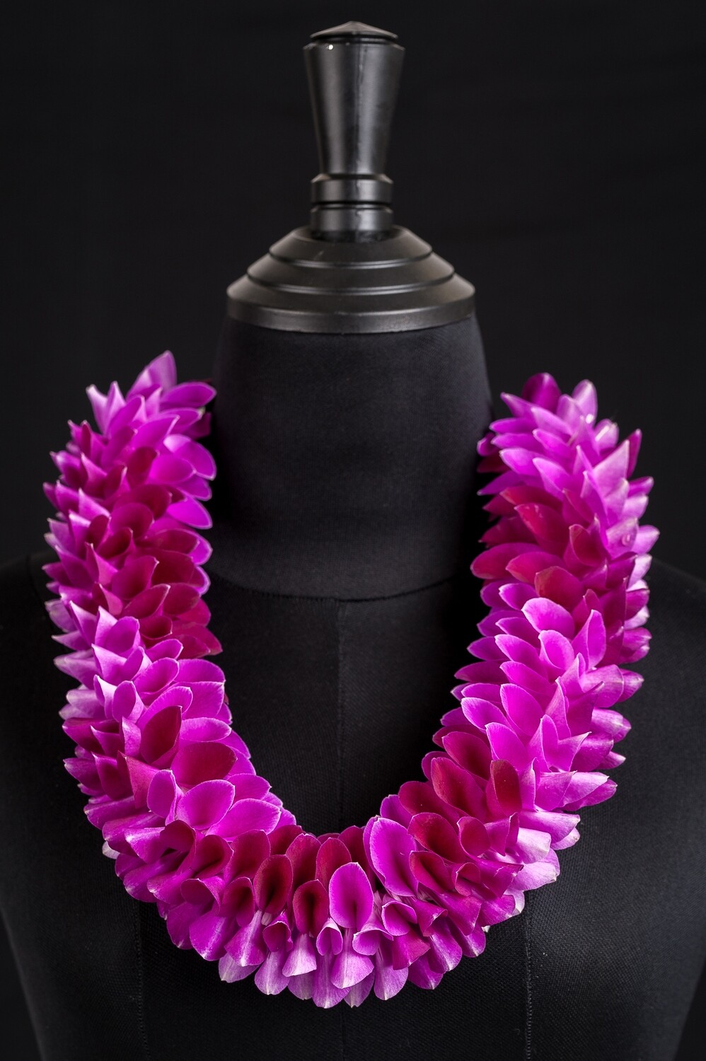 PINK AND PURPLE ROBIN