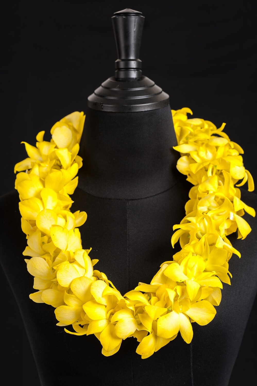 DOUBLE WHITE TINTED YELLOW