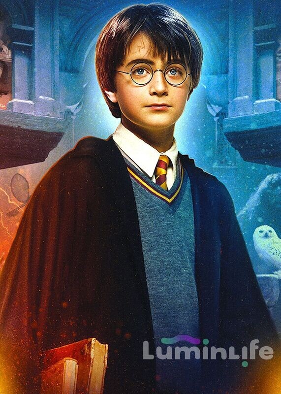 Broderie Diamant, Diamond Painting - Harry Potter - W074