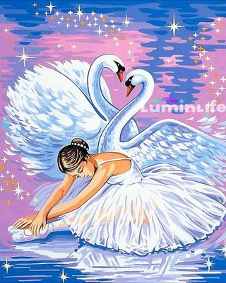 Broderie Diamant, Diamond Painting - Cygnes et ballerine - DN03