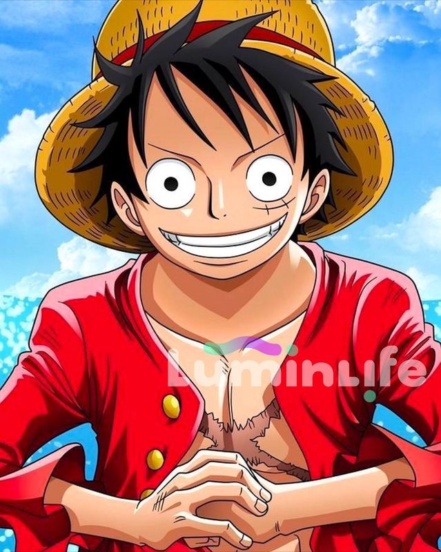 Kit Broderie Diamant, Diamond Painting - One Piece - DN06