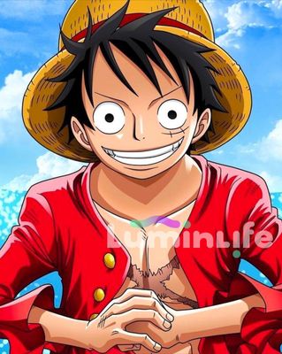 Kit Broderie Diamant, Diamond Painting - One Piece - DN06