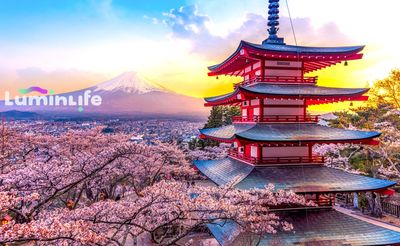 Broderie Diamant, Diamond Painting - Big Mount Fuji  - W041