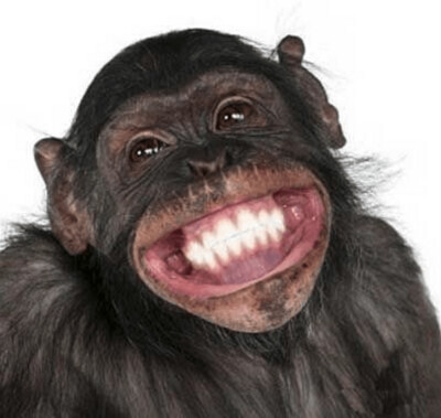 Kit Broderie Diamant, Diamond Painting LUMINLIFE - Funny monkey - H885 Kit Broderie Diamant, Diamond Painting LUMINLIFE - Funny monkey - H885