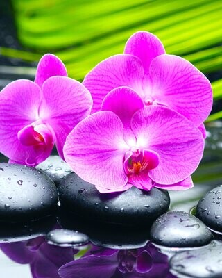 Kit Broderie Diamant, Diamond Painting - Orchidées roses - D005 Kit Broderie Diamant, Diamond Painting - Orchidées roses - D005