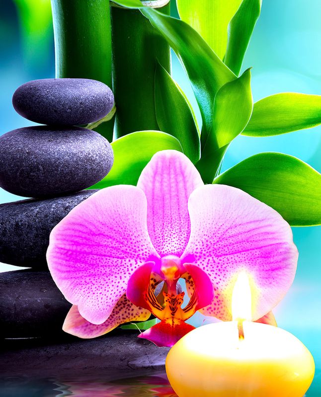 Broderie Diamant 5D -Orchidée bougie