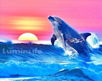 Broderie Diamant, Diamond Painting - Dauphin et coucher de soleil - DN17 Broderie Diamant, Diamond Painting - Dauphin et coucher de soleil - DN17