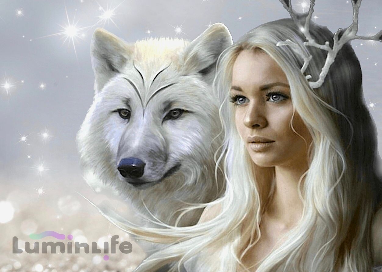 Broderie Diamant 5D -La Belle et le loup Broderie Diamant 5D -La Belle et le loup