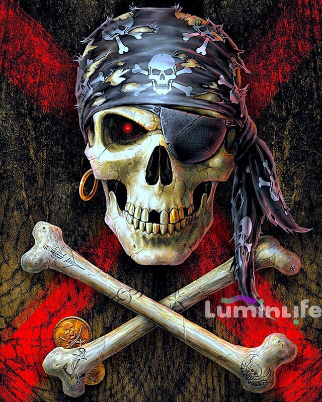Broderie Diamant 100% - Top Pirate